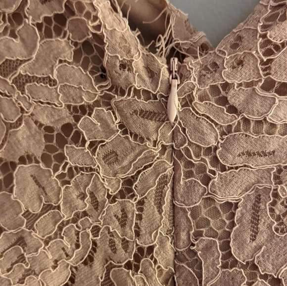 NWT Boohoo Premium Eyelash Lace Bodysuit Rose, Small - Picture 4 of 5